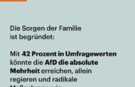 Neues aus dem Irrenhaus: Wenn die AfD in Sachsen-Anhalt