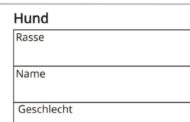 Wenn man in Detmold seinen Hund zur Hundesteuer anmelden