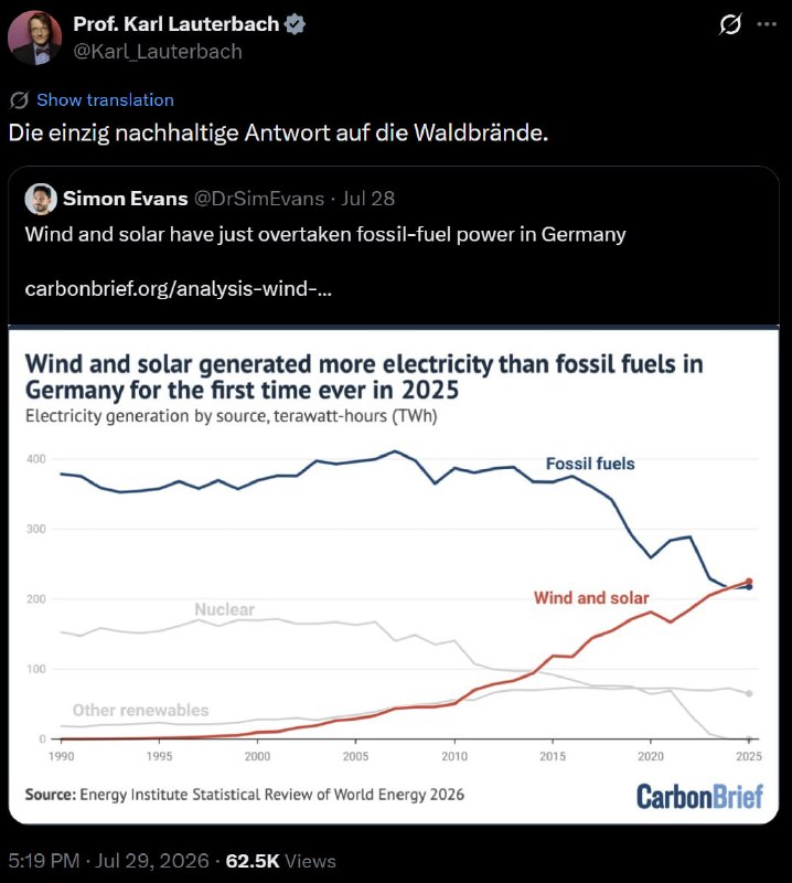 Die unbequeme Wahrheit, dass 90 % der Waldbrände auf
