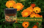 Ringelblumen-Salbe: Die natürliche Wunderwaffe gegen Hautprobleme!Hast du schon von