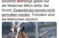 Ob Sie es glauben oder nicht: Ziegenböcke können nicht