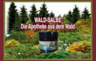 Wald-Salbe: Das Wundermittel der Natur für Körper und SeeleDer