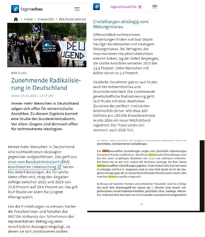 Die umstrittene Tagesschau berichtet über eine BKA-Studie zur zunehmenden