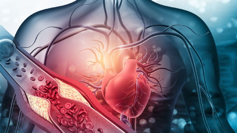 Freie Radikale sind an der Entstehung vieler Gesundheitsprobleme beteiligt,