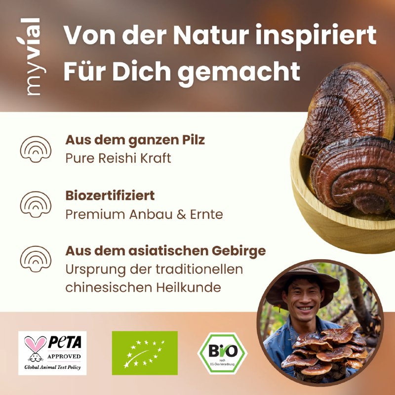 Der Reishi (Ganoderma lucidum) zählt zu den bedeutsamsten Heilpilzen