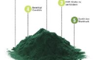 Die Nährstoffzusammensetzung der Spirulina und die hohe Bioverfügbarkeit der