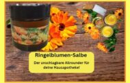 Ringelblumen-Salbe: Der unschlagbare Allrounder für deine Hausapotheke!Ringelblumen-Salbe ist ein
