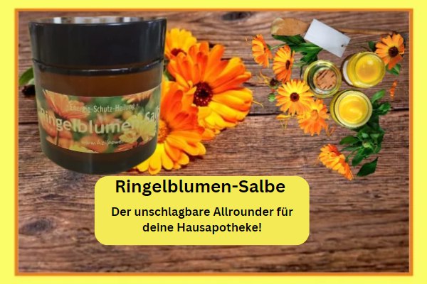 Ringelblumen-Salbe: Der unschlagbare Allrounder für deine Hausapotheke!Ringelblumen-Salbe ist ein