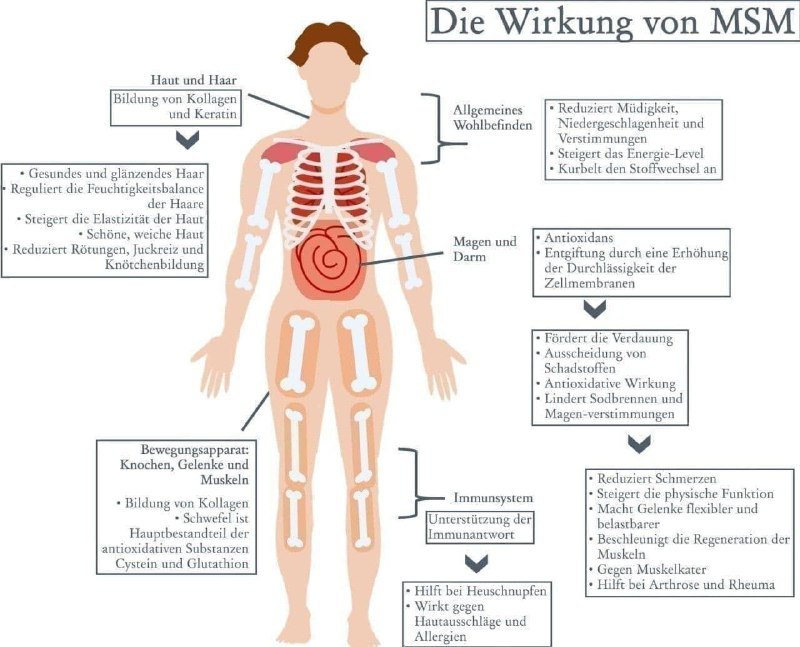 Die Abkürzung MSM steht für Methyl Sulfonyl Methan. Es