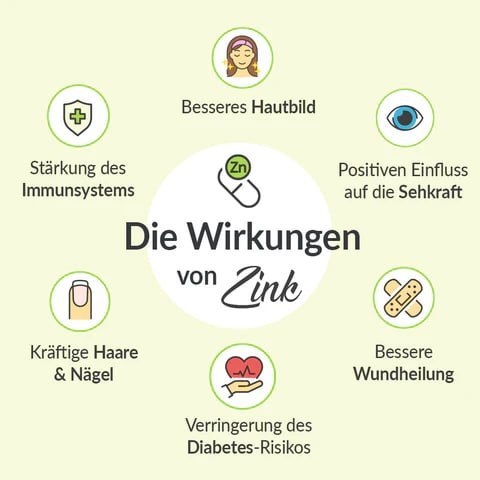 Zink ist an über 300 Stoffwechselreaktionen im Körper beteiligt