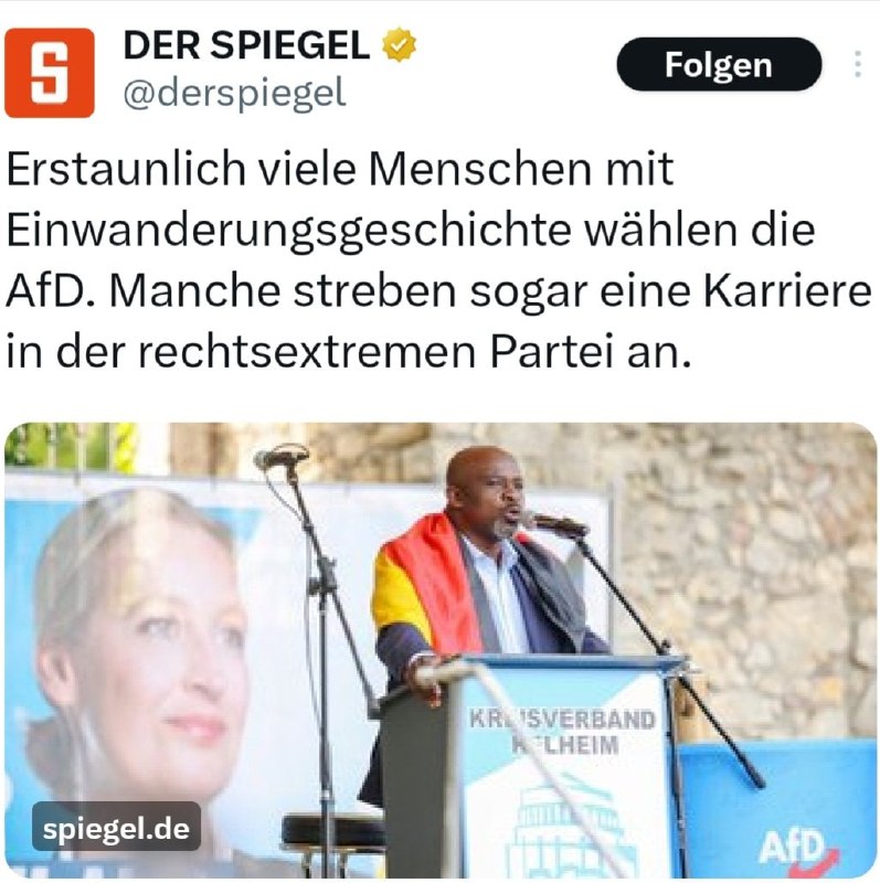 Der SPIEGEL glaubt offenbar, wirklich qualifizierte Zuwanderer mögen Deindustrialisierung,