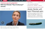 Im besten Deutschland aller Zeiten darf man Alice Weidel
