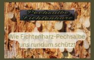 Von Kopf bis Fuß: Wie Fichtenharz-Pechsalbe uns rundum schütztFichtenharz-Pechsalbe