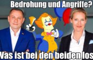 Was ist mit Weidel und Chrupalla passiert? Hier werden