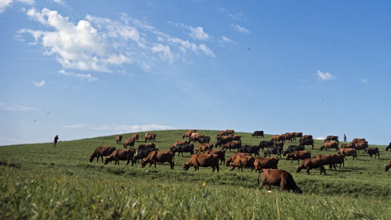 Pentagon vergibt Auftrag zum Simulieren von Atomkrieg in Europað¥Das