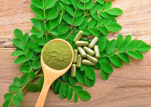 Moringa zählt in vielen Ländern nicht nur zu einer