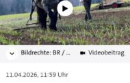 Die zwangsfinanzierte Lügenpresse empfiehlt aufgrund der erheblich gestiegenen Spritpreise