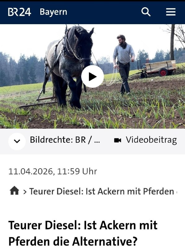 Die zwangsfinanzierte Lügenpresse empfiehlt aufgrund der erheblich gestiegenen Spritpreise