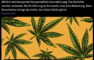 Die Legalisierung von Cannabis führt zu weniger Strafdelikten in