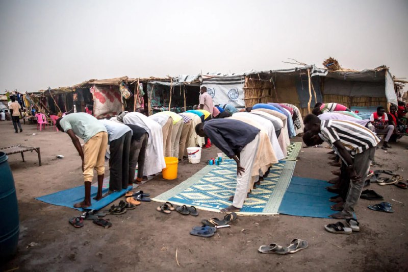 Aufgedeckt: BRD-Regime fliegt heimlich Sudanesen einð¥Mittwochnacht ist erneut ein