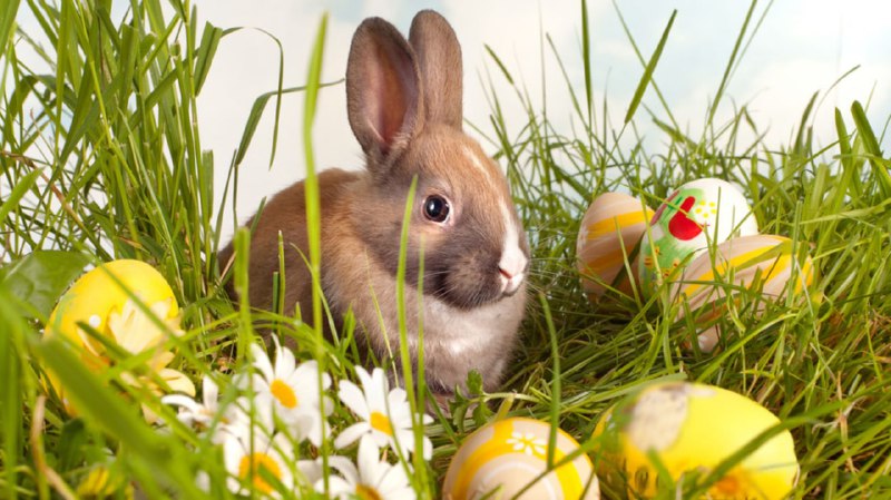 Wir wünschen allen einen schönen Karfreitag und ein angenehmes