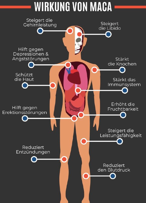Maca ist das Superfood der südamerikanischen Inka. Heute wird