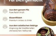Der Reishi (Ganoderma lucidum) zählt zu den bedeutsamsten Heilpilzen