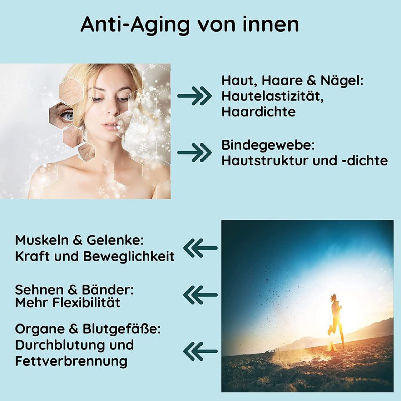 Kollagen übernimmt substanzielle Funktionen für fast alle Gelenk- und