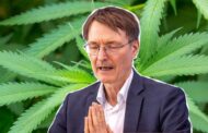 Cannabis-Freigabe führt zu Folter, Mord und Bandenkriegenð¥Sieben Spreng- und