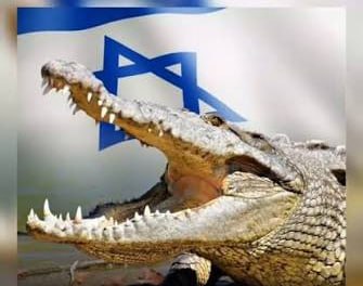 Israel will Gefängnis durch Krokodile bewachen lassenIsraelische Gefängnisse sind