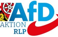 Landtagswahl in Rheinland-Pfalz: AfD punktet bei jungen WählernDie Forschungsgruppe
