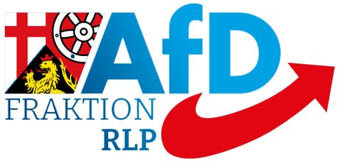 Landtagswahl in Rheinland-Pfalz: AfD punktet bei jungen WählernDie Forschungsgruppe