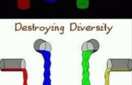 ð Vielfalt feiern oder Vielfalt zerstören?