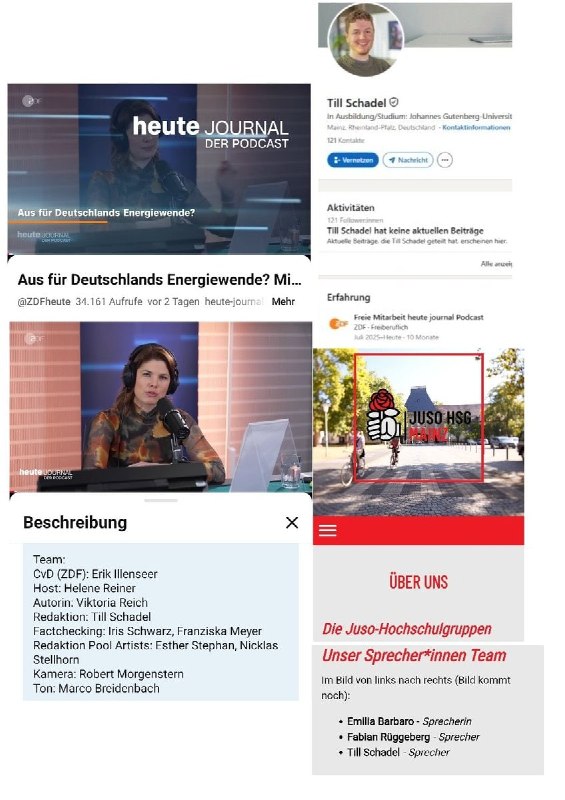 Till Schadel, Redaktion beim Heute-Journal-Podcast zum Thema Energiewende, ist