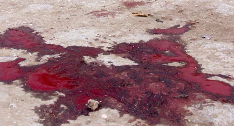 Pakistaner erschlägt im Blutrausch Spaziergänger in WienNach einem rätselhaften