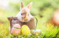 Wir wünschen allen Abonnenten ein frohes Osterfest! Nutzen Sie