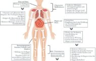 ð¨Sonderaktion: 10 % Rabatt auf MSM mit Gutscheincode: msm10Die