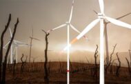 Windkraft-Wahnsinn gefährdet zunehmend den deutschen Waldð¥Nachdem das Bundesverfassungsgericht 2022