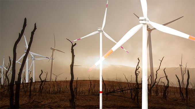 Windkraft-Wahnsinn gefĂ€hrdet zunehmend den deutschen Waldð„Nachdem das Bundesverfassungsgericht 2022