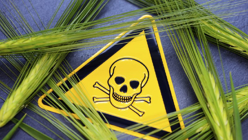Seit drei Jahren ist das gefährliche Pestizid Fungizid Chlorthalonil
