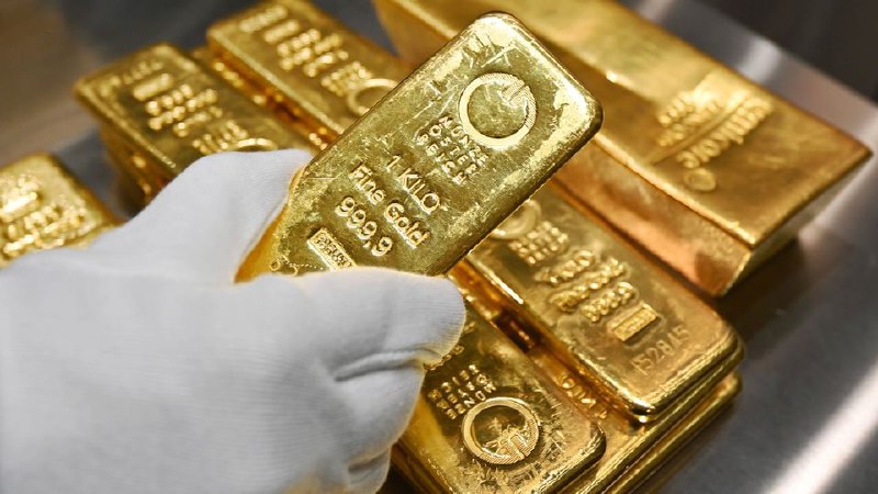 Verfassungsschutz prescht vor: Edelmetalle sind rechtsextrem!ð¤¡Der Verfassungsschutz hat „die