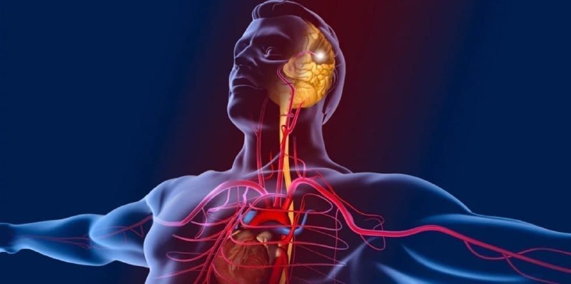 L-Arginin ist eine der stickstoff­reichen Aminosäuren. Sie zählt zu